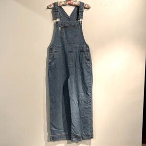 Vintage Denim Bibbed Overalls